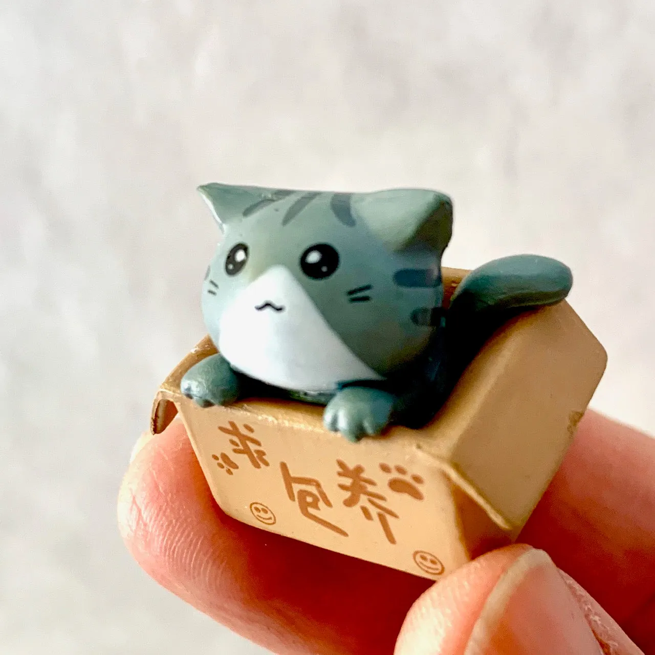 70704 ADOPT A CAT FIGURINES-1 INCH-8