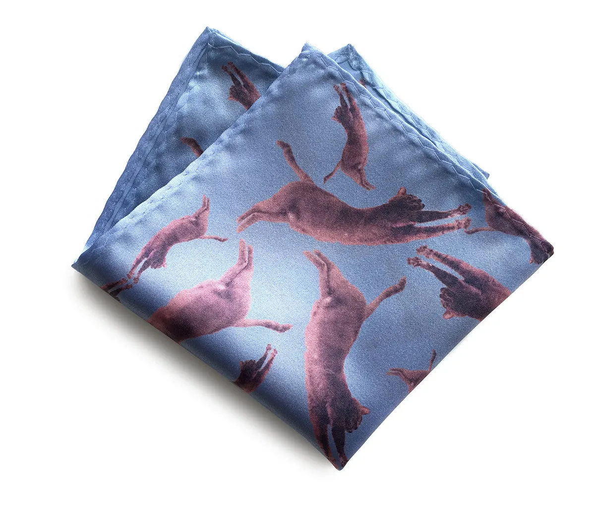 Cats Pocket Square