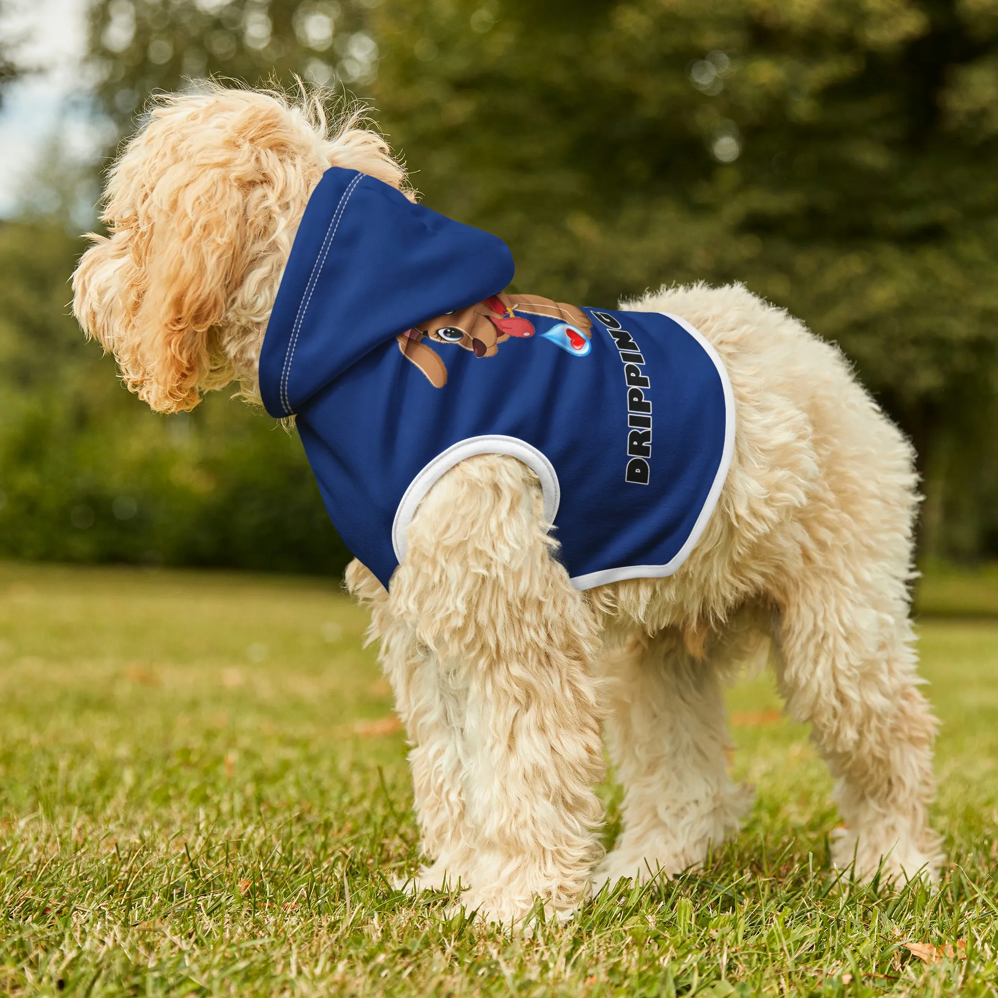 Dripping With Love Pet Hoodie