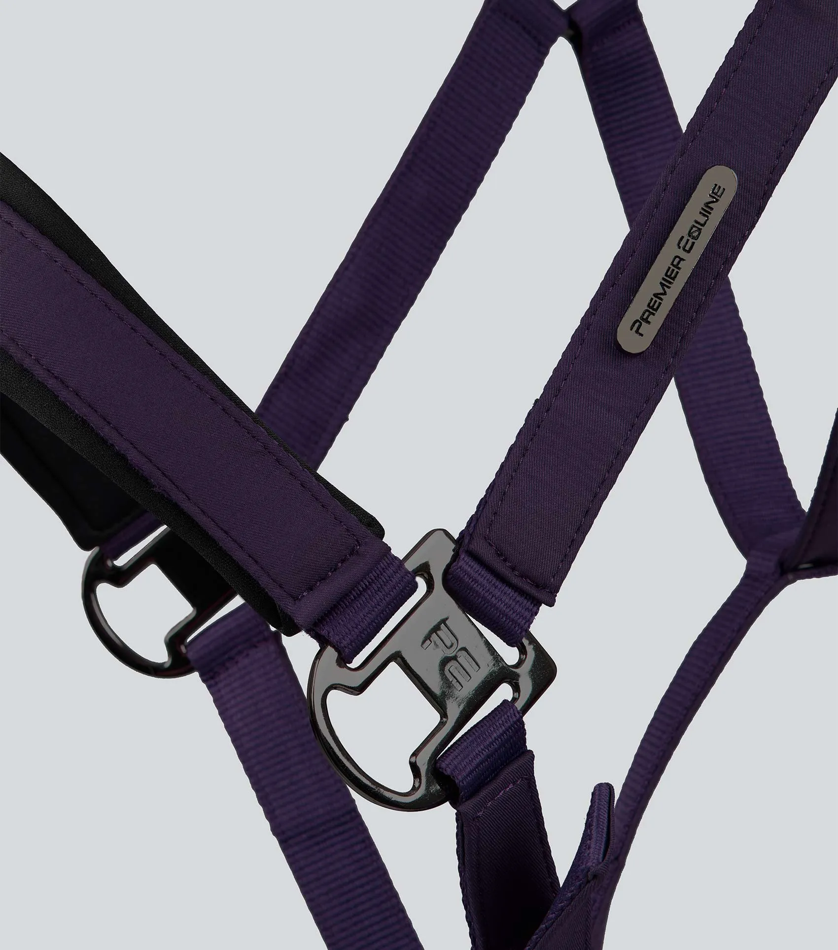 Duco Padded Head Collar with Lead Rope Grape