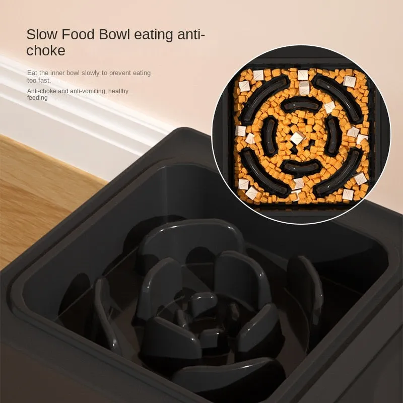 Elevated Slow Feeder Dog Bowl