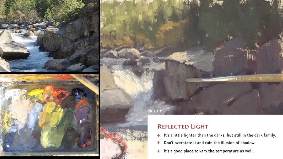 Kathleen Dunphy: Capturing The Light