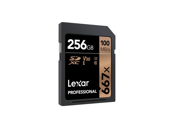 Lexar LSD256B667 Professional 667x UHS-I SDXC 256GB Memory Card for PC's, Laptops