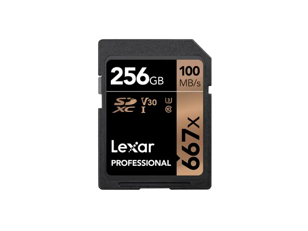 Lexar LSD256B667 Professional 667x UHS-I SDXC 256GB Memory Card for PC's, Laptops