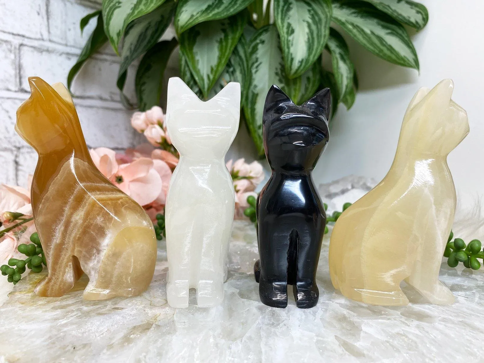 Onyx Crystal Cats