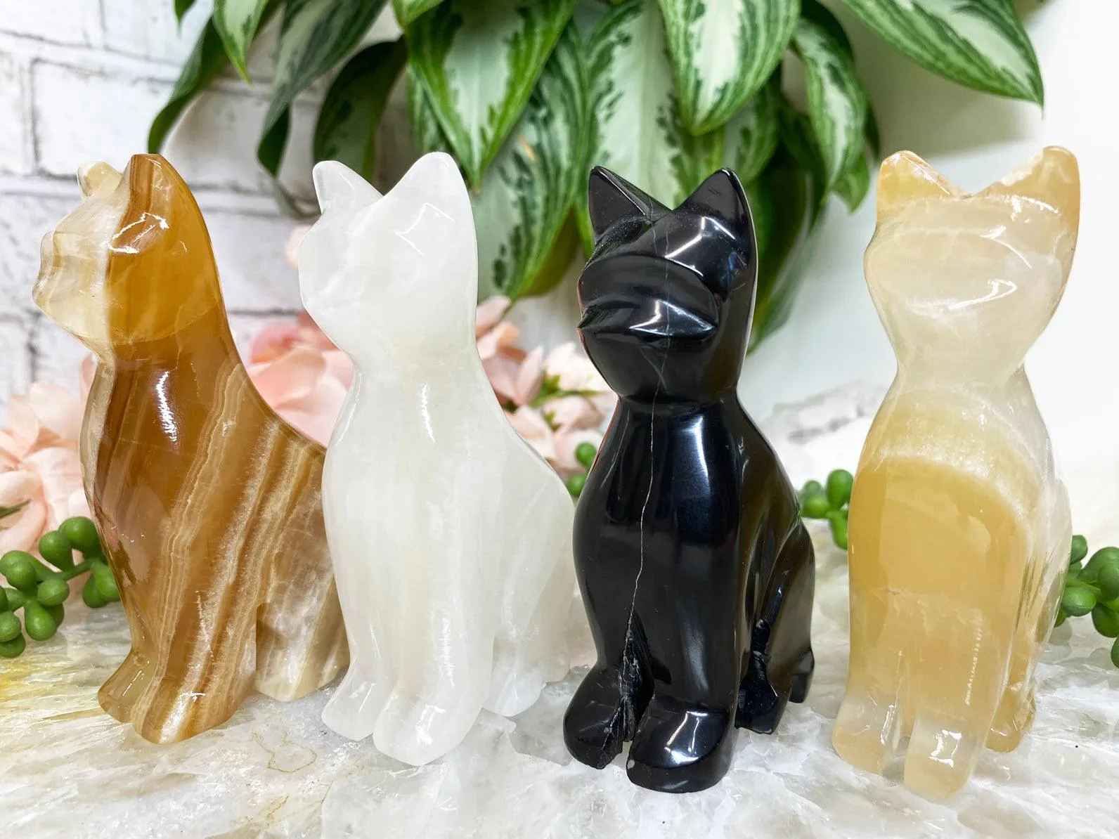 Onyx Crystal Cats