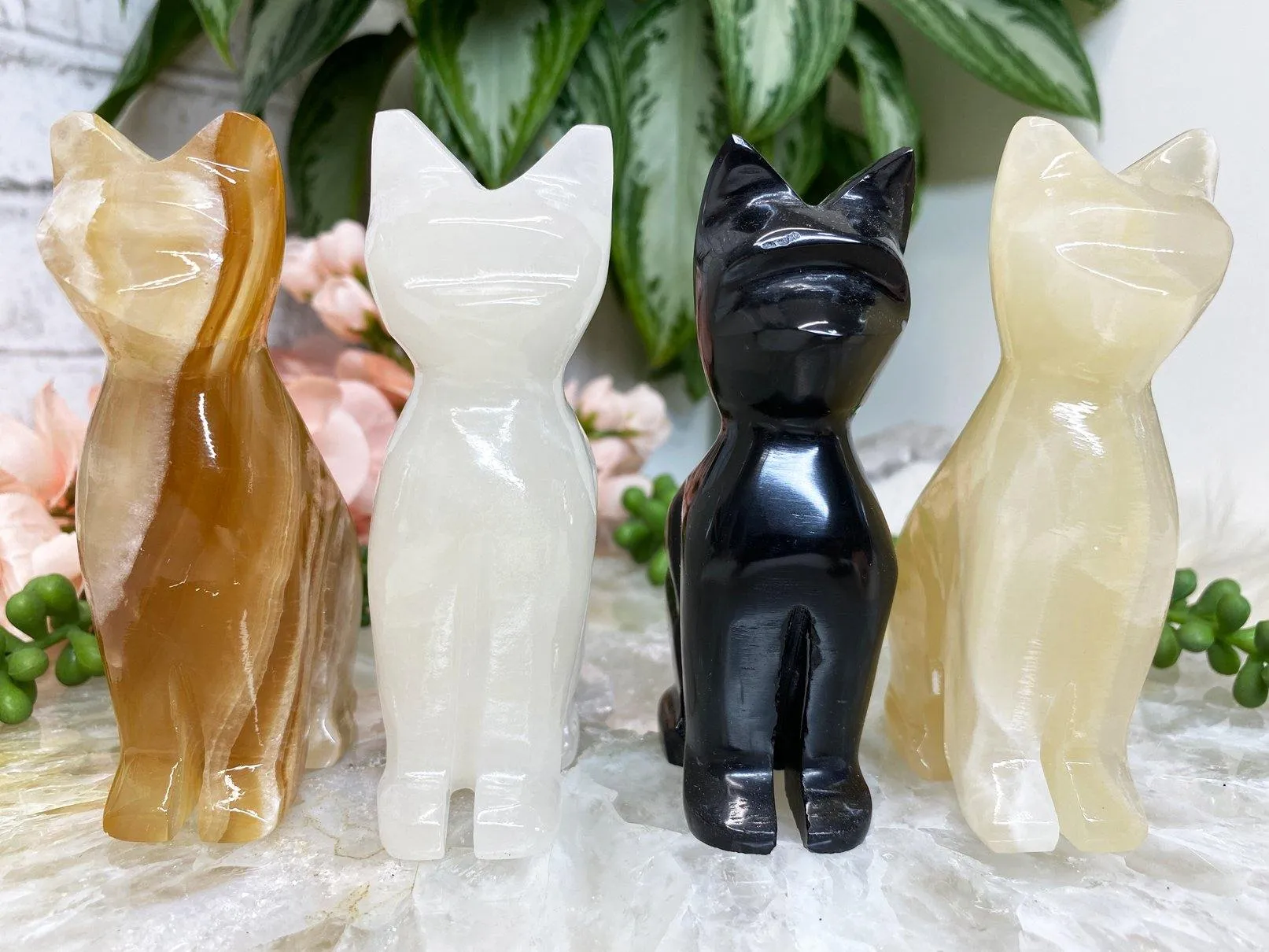 Onyx Crystal Cats