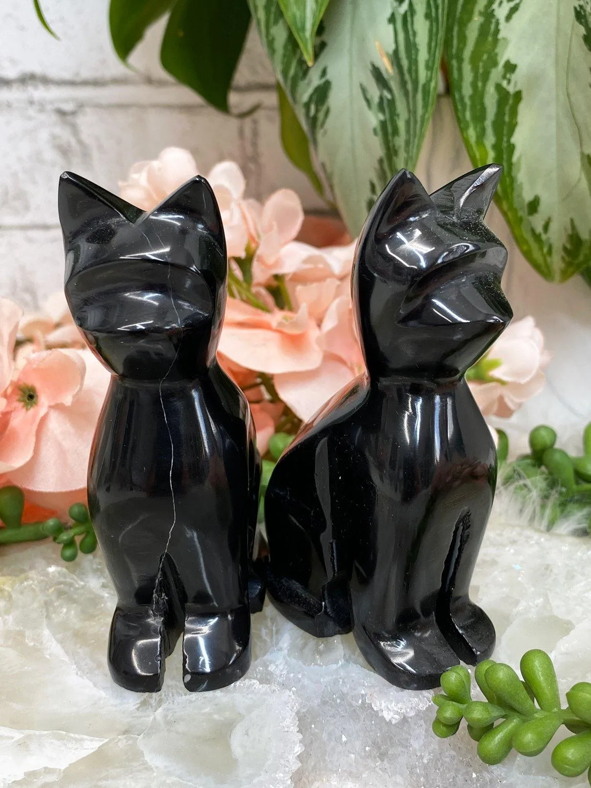 Onyx Crystal Cats