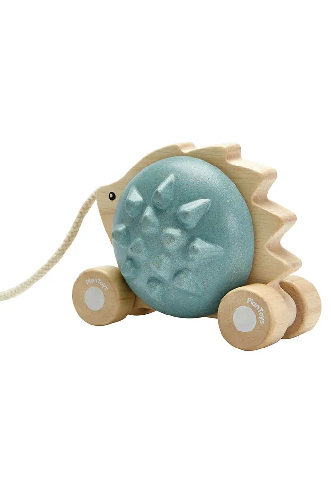 Pull-Along Hedgehog - Blue