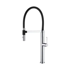 ROMEO Kitchen Sink Mixer w/Black Hose - WT6205