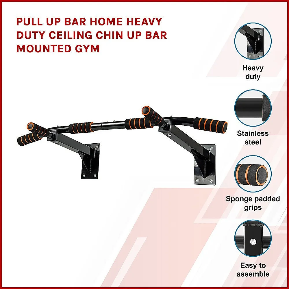 RTM Wall Mounted Pull Up Bar